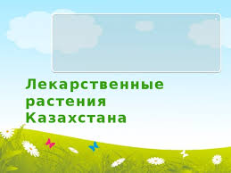 Лекараственные растения Казахстана 