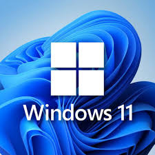 Microsoft Windows 11 Professional RU x32/x64